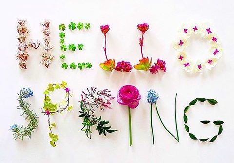 hello spring hello spring